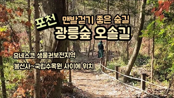 걷기좋은 숲길 50 서울 전남 경북_7