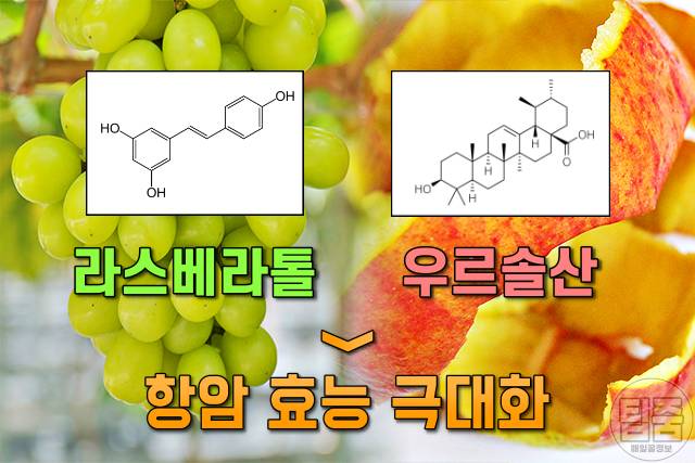 샤인머스켓 효능,전립선에 좋은음식,팁줌