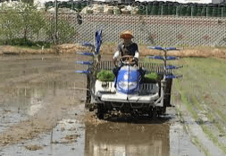 농업경영체등록