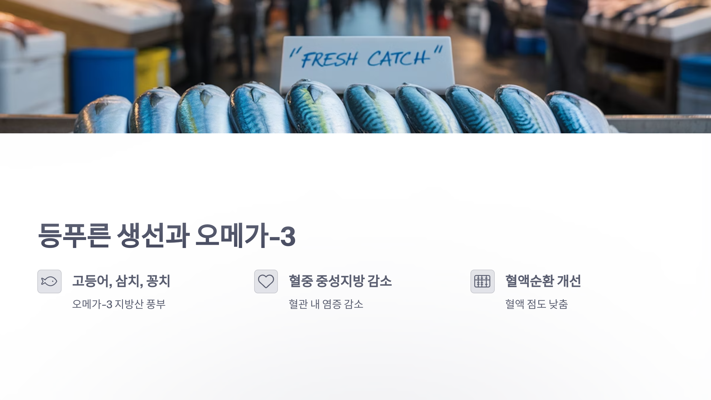 참조-혈관-건강에-도움되는-음식-2