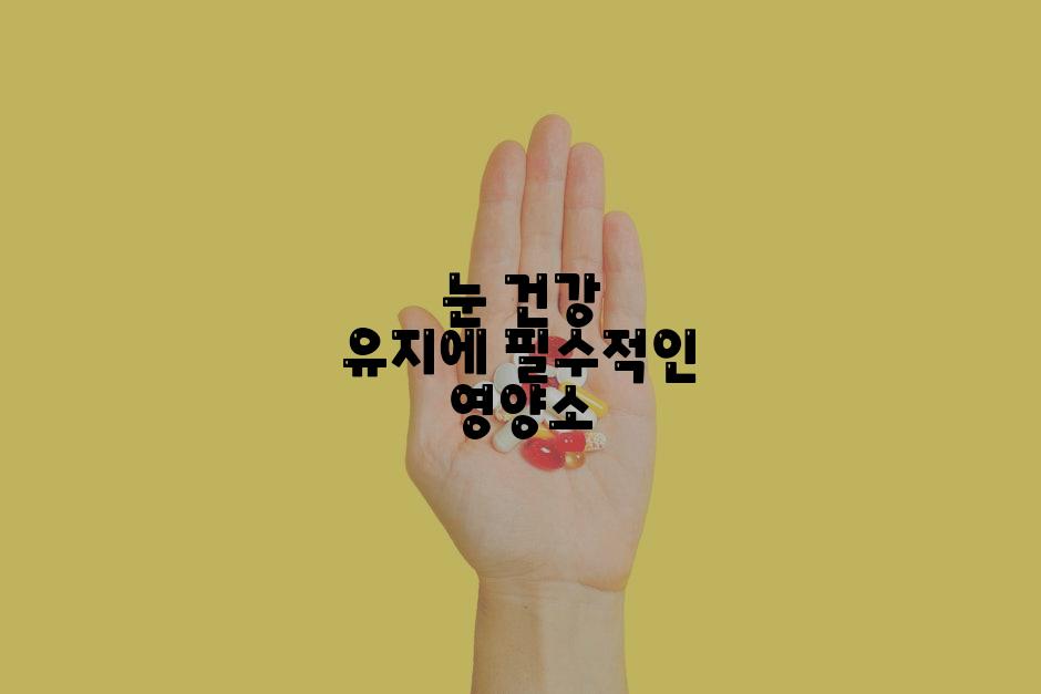 눈 건강 유지에 필수적인 영양소