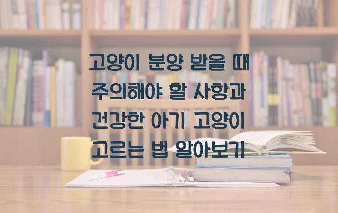 고양이 분양 받을 때 주의해야 할 사항, 건강한 아기 고양이 고르는 법