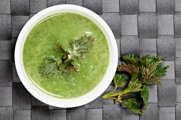 쐐기풀-요리-수프