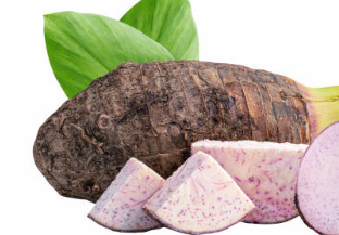 토란 심는 시기 효능 토란대 삶는 법 / 토란대 나물 볶음 토란국 레시피