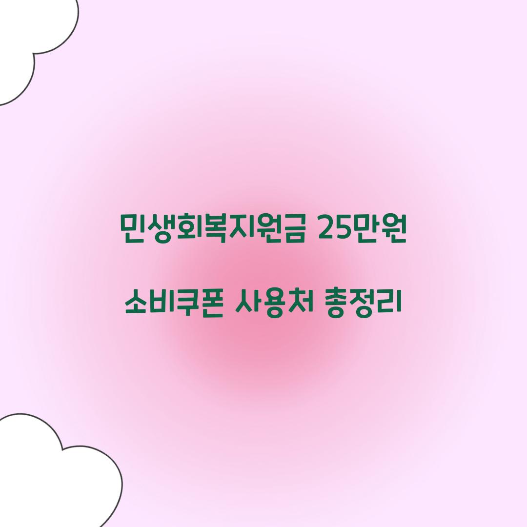 민생회복지원금 25만원 소비쿠폰 사용처