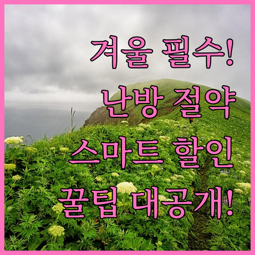 겨울철 필수 스마트 플러그 온도 조절..