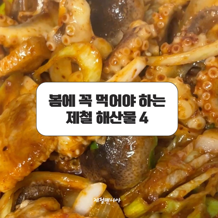 봄 제철 해산물