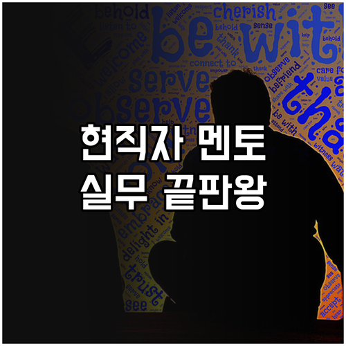 현직 개발자 멘토링과 실무 프로젝트 ..