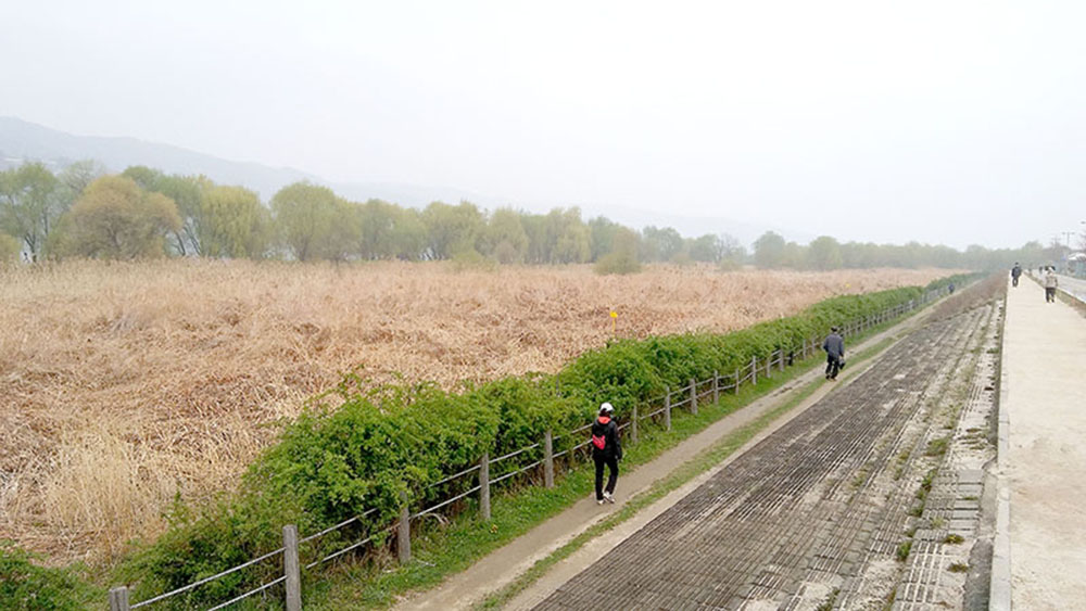 서울둘레길(SeoulTrail) 3-2 고덕산&amp;middot;일자산 코스 : 봄