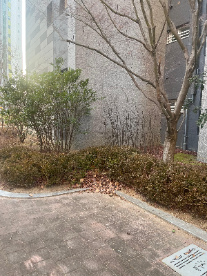 놀이 속에서 드러나는 부모와의 애착 유형