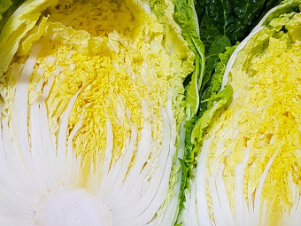 10월 제철음식 배추