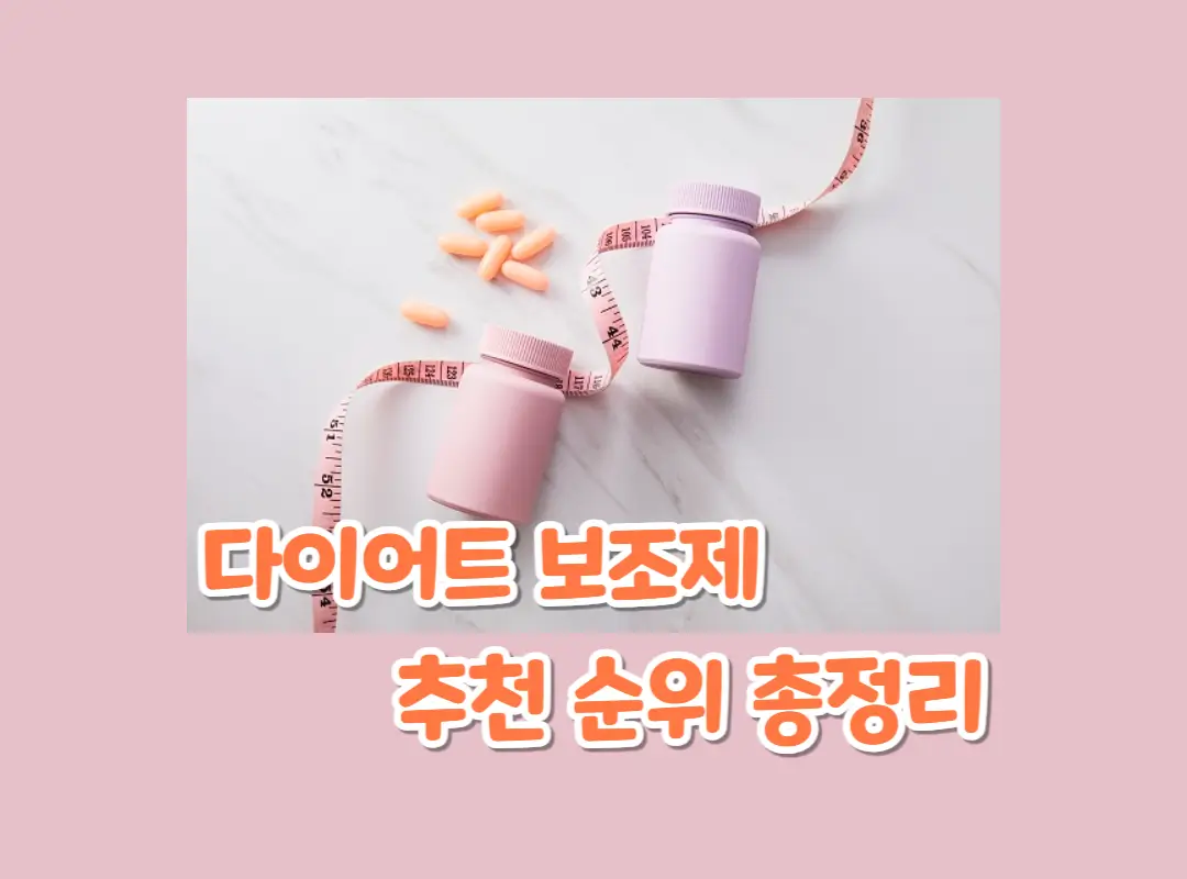 다이어트 보조제 추천 순위 총정리