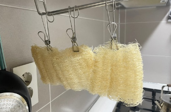 천연수세미 사용후기