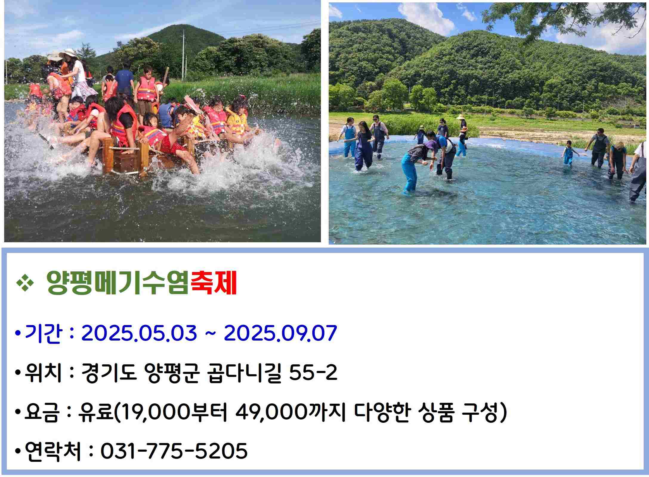 양평메기수염축제