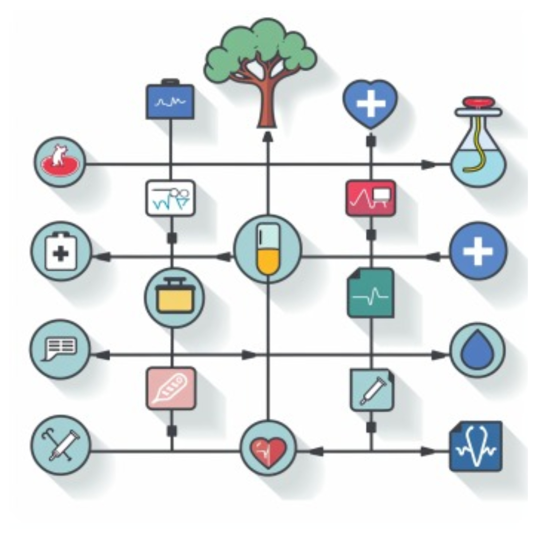 맥주효모와 관련된 사진입니다.