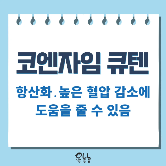 코엔자임 큐텐의 효능