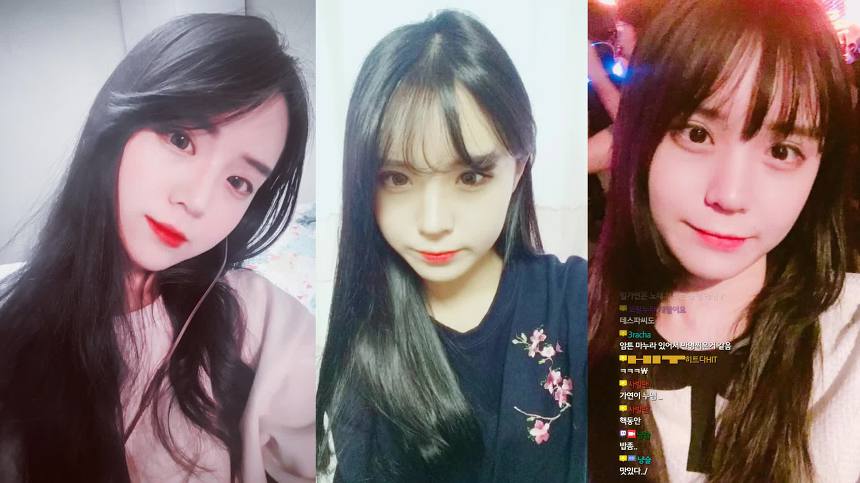 트위치 난민을 잡아라 '네이버 치지직'