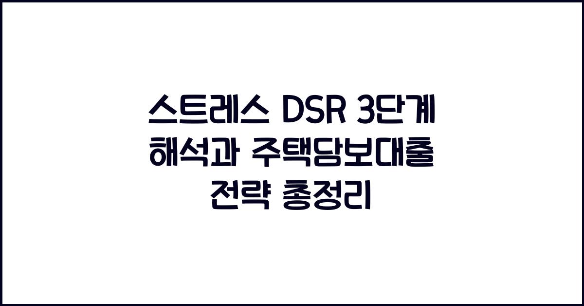 스트레스 dsr