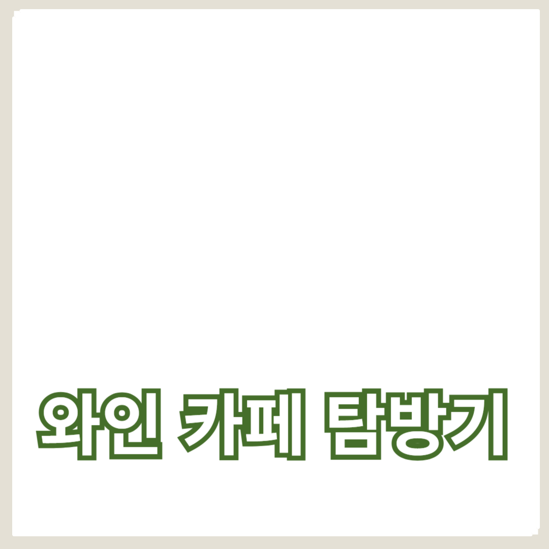 고급 와인과 빈티지 와인이 가득한 와인 카페 탐방기