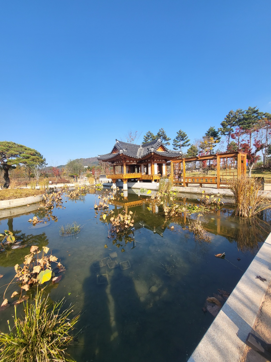 세종 아이와 가볼 만 한 곳 (세종수목원)