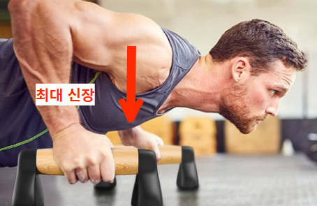 푸쉬업바 장점