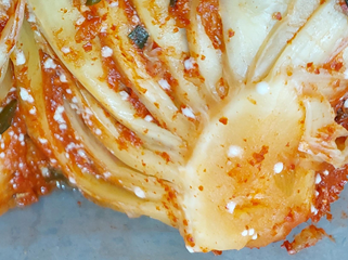 김치 하얀 곰팡이 골마지