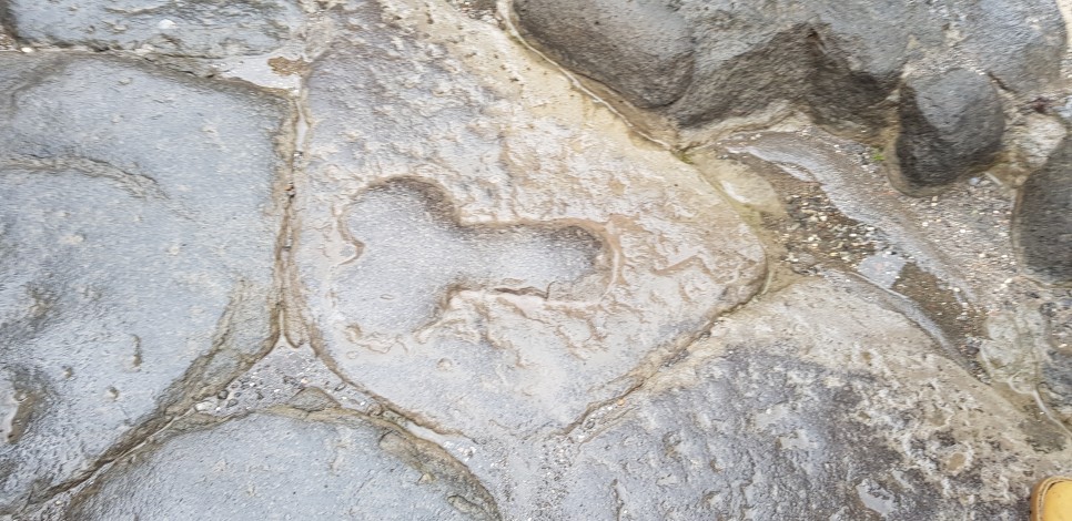 폼페이유적지 성기모양 음각