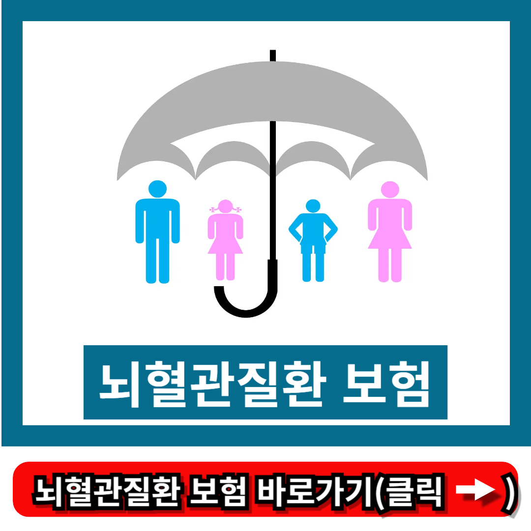 뇌혈관질환 보험