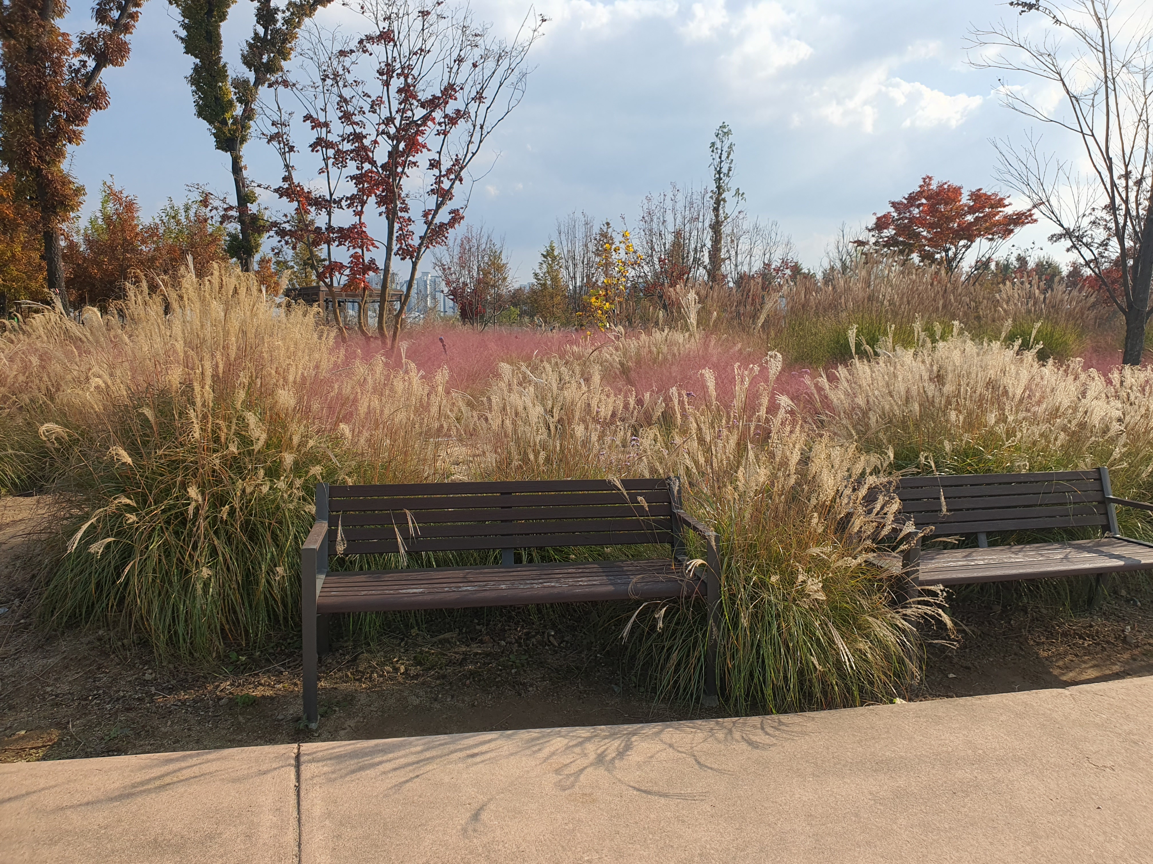 국립세종수목원 이용 안내 추천 코스 주제 전시원