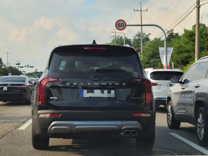 한국에서 발견된 기아 텔루라이드
