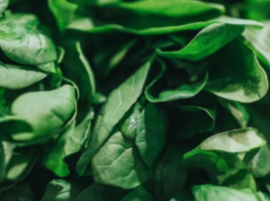 관절염에 좋은 음식