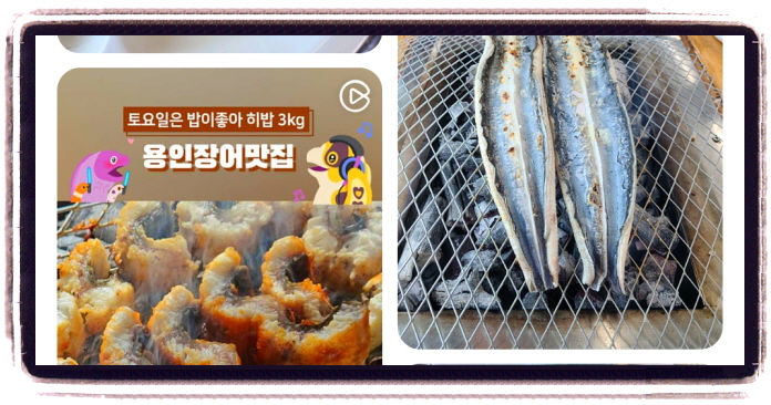 생방송 투데이 키워드다큐성공인 대물장어 후기