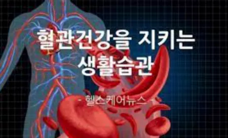 쇠비름 효능