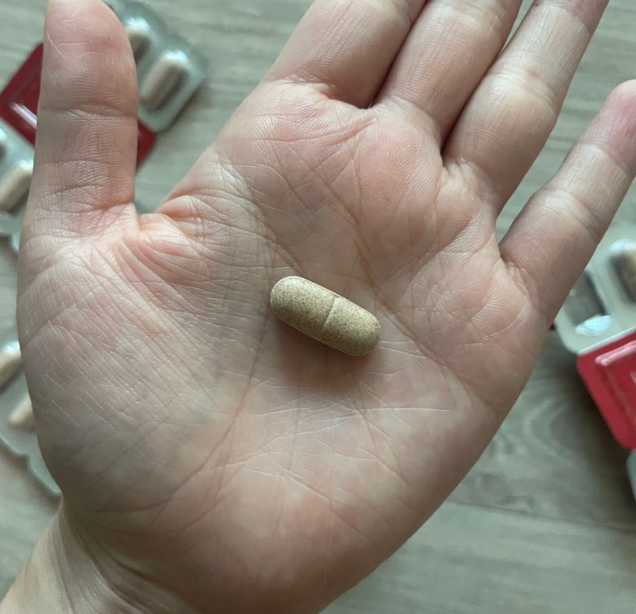 테라퓨젠 콜레스컷 부스터 내돈내산