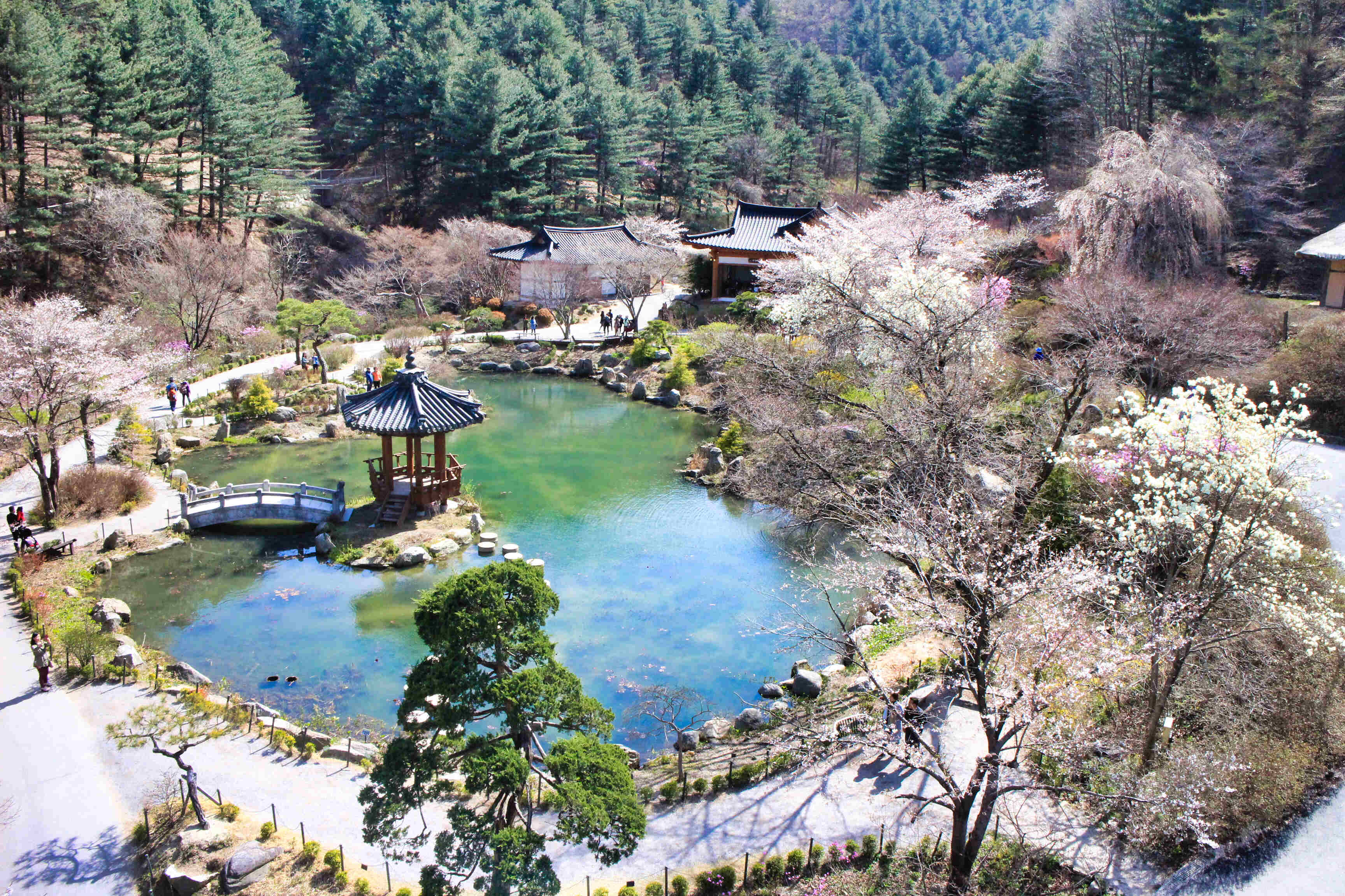 수목원 전경