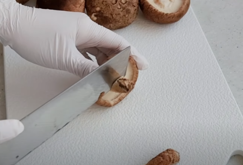 버섯볶음 황금레시피