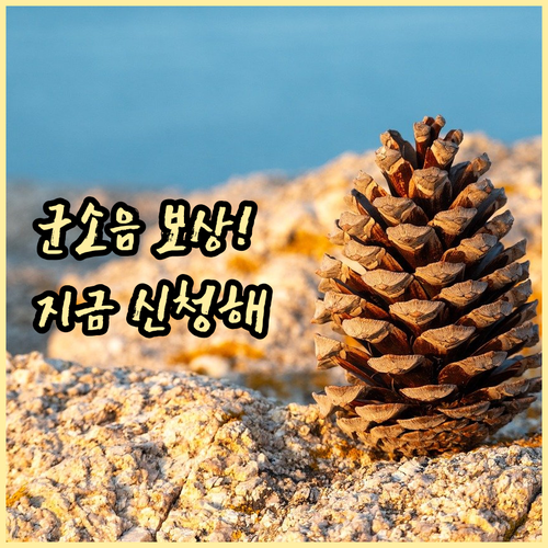 화성시 군소음 피해 주민 보상금 신청..