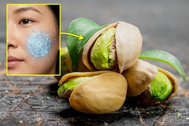 건성피부 좋은 음식 피스타치오