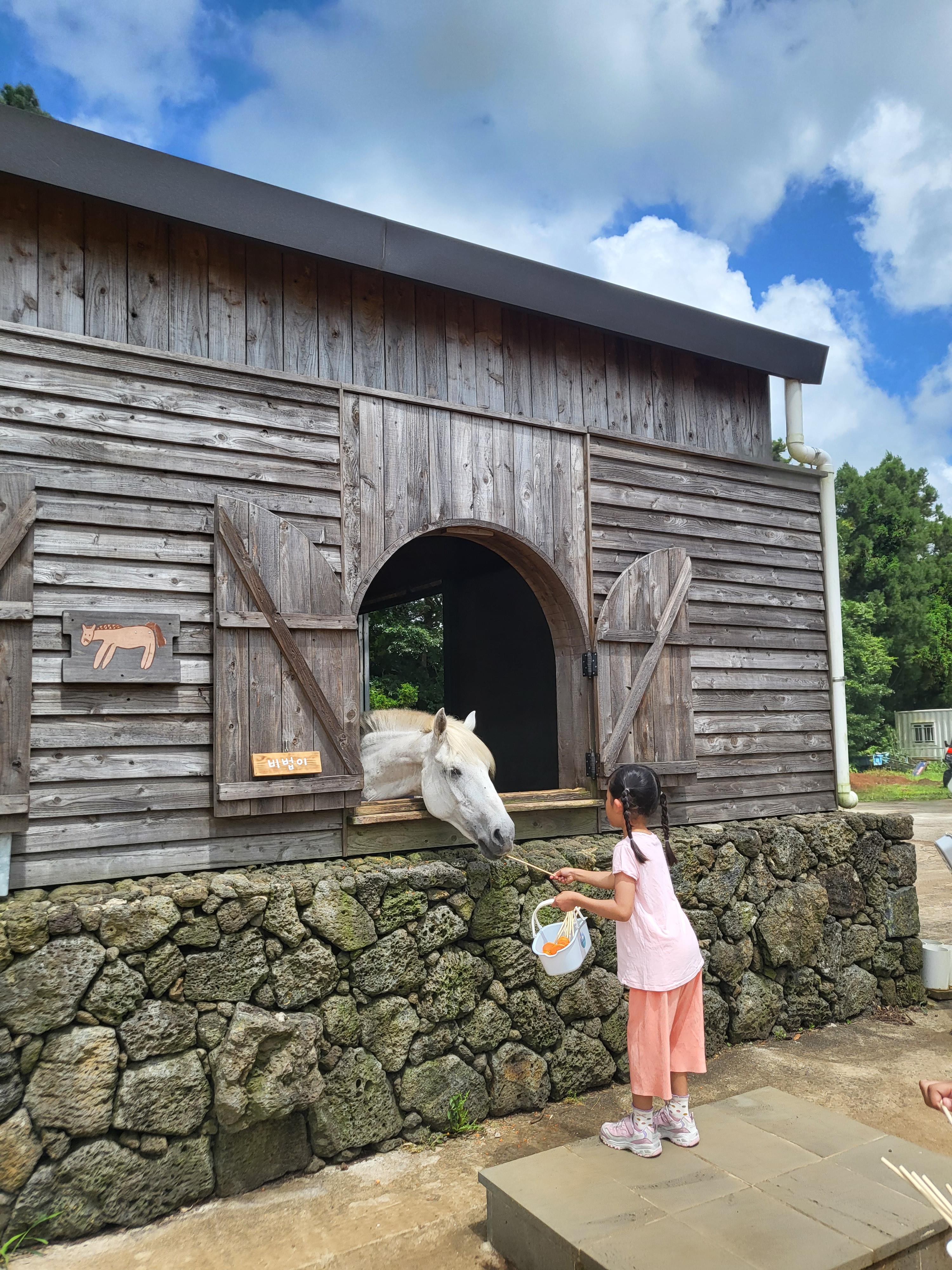 사진잘찍는꿀팁
