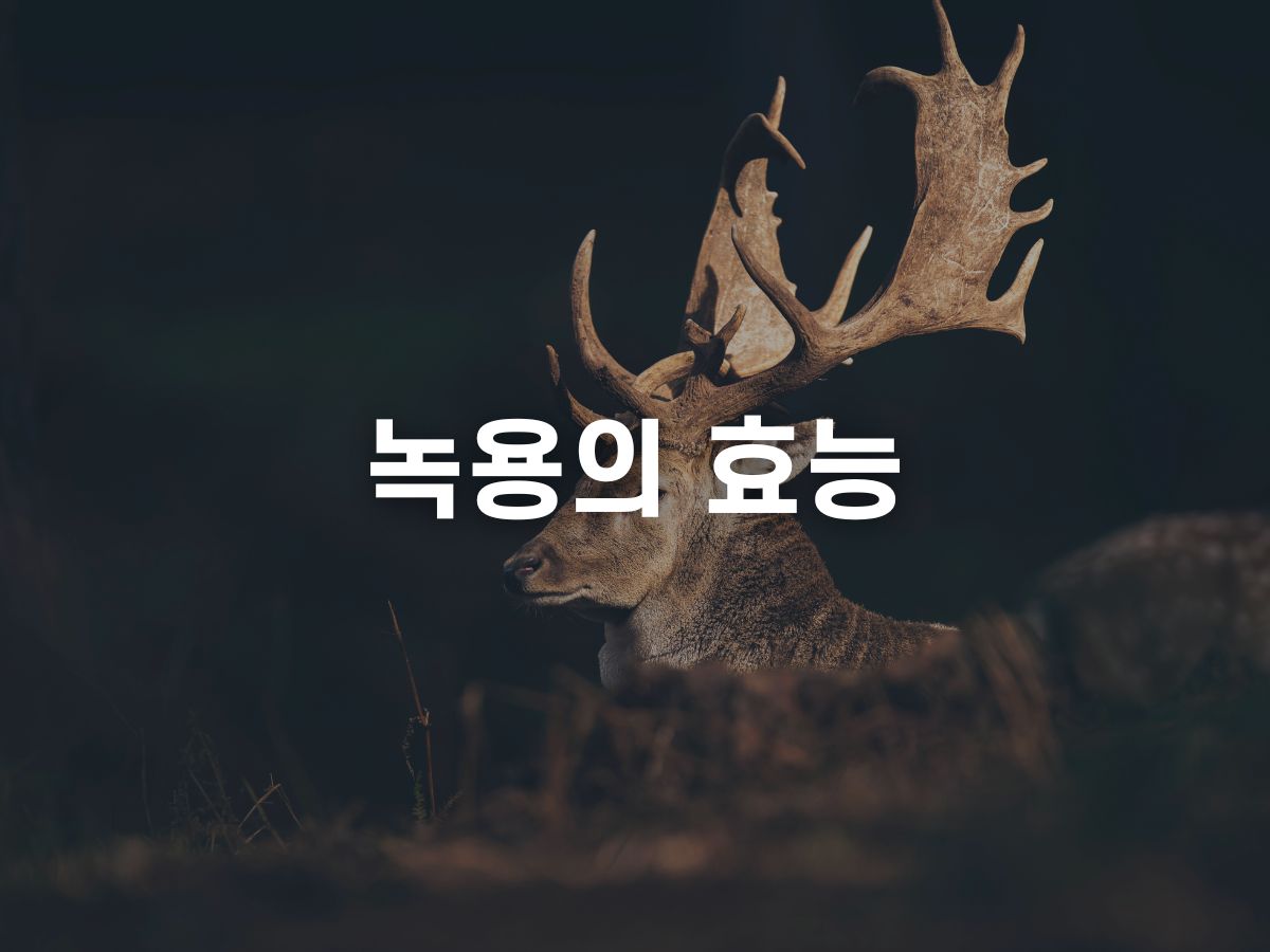 녹용의 효능