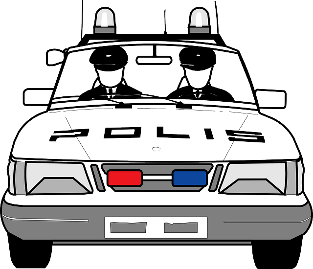 경찰 계급 체계