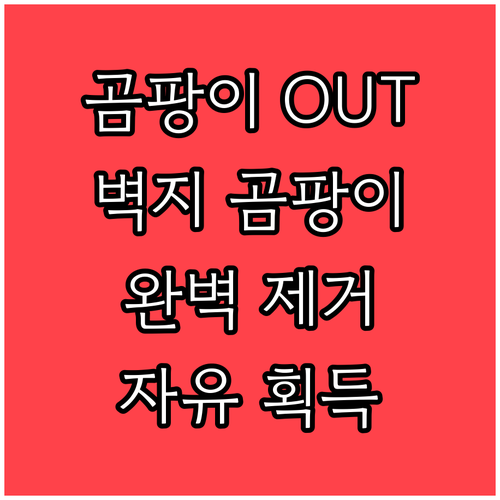 곰팡이 방지 벽지 곰팡이로부터 자유로