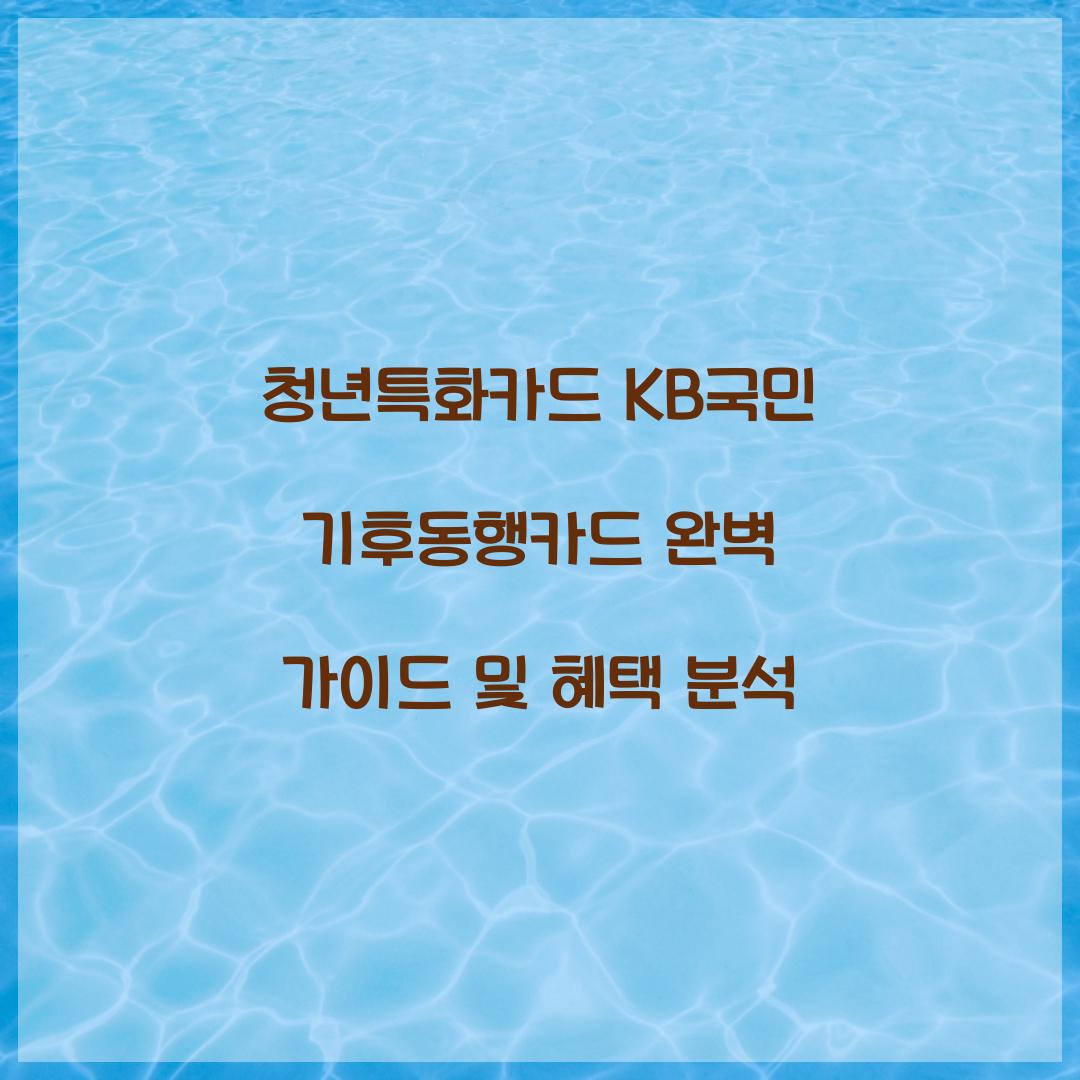 청년특화카드 KB국민 기후동행카드