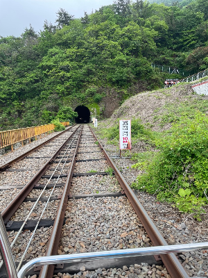 여수 가볼만한 곳 추천 관광지 여수 해양레일바이크