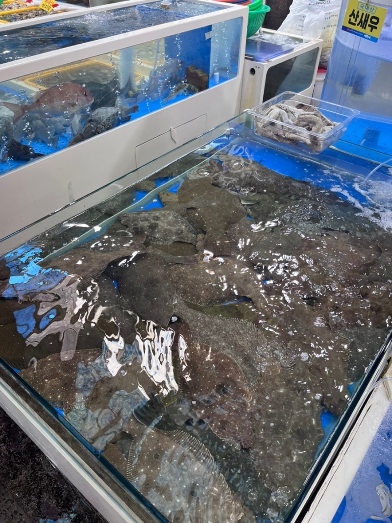 모항항수산물직판장