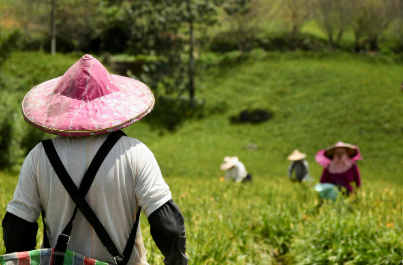 지속 가능한 농업, 스마트팜과 수직농장이 만드는 변화