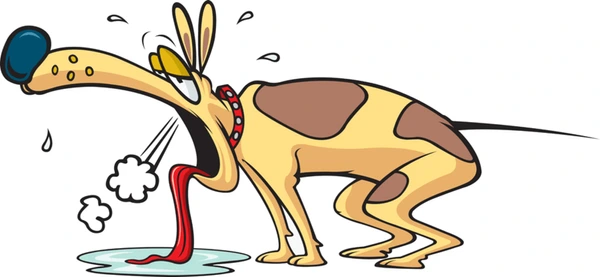 여름철 숨을 헐떡이는 노령견 이미지