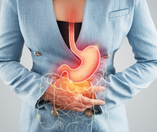 소화 기능 촉진에 효과적인 허브와 보충제