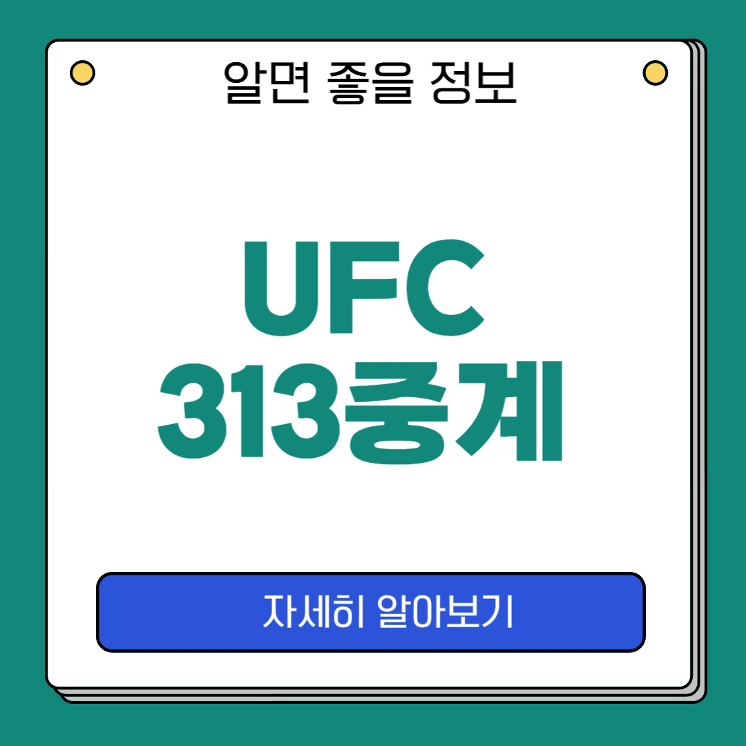 UFC313