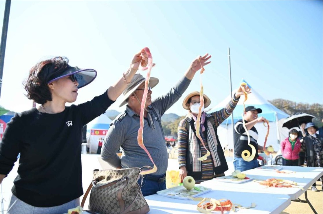 청송사과축제